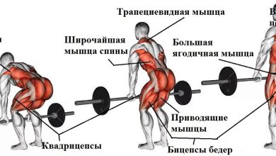 Photo of «Становая тяга для силы спины»