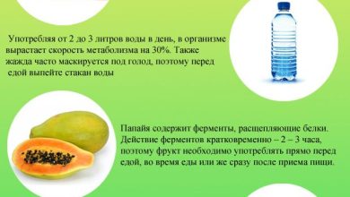 Photo of Правильное питание для сжигания жира