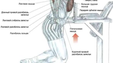 Photo of «Подтягивания к груди на брусьях»