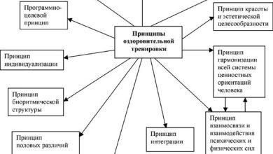 Photo of Основные принципы тренировок
