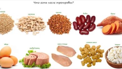Photo of Питание для лучших результатов тренировок