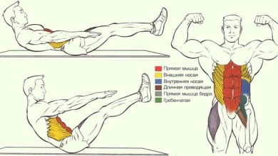 Photo of Лучшие упражнения для рельефных мышц