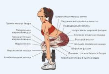 Photo of «Приседания с гантелями: формирование ягодиц»