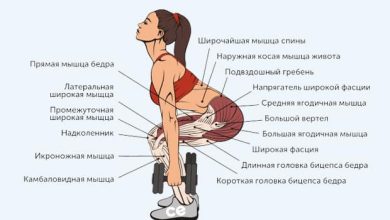 Photo of «Приседания с гантелями: формирование ягодиц»